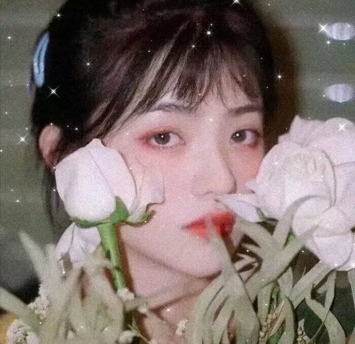战国之无艳